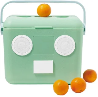 Sunnylife - Beach AccessoriesBeach Cooler Box Sounds Mint