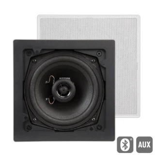 ArtSound FL101BT Bluetooth speaker wit