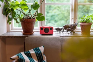 Audio Pro T3+ Bluetooth Luidspreker Koraal