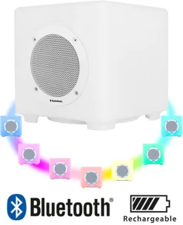 AudioSonic SK-1539 Speaker review