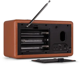 Audizio Tune60 Bluetooth speaker bruin