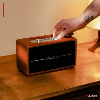Audizio Tune60 Bluetooth speaker bruin