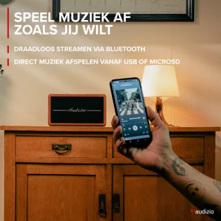 Audizio Tune60 Bluetooth speaker bruin