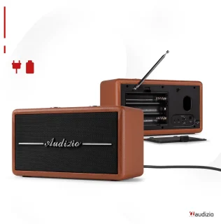Audizio Tune60 Bluetooth speaker bruin
