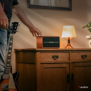 Audizio Tune60 Bluetooth speaker bruin