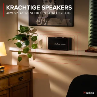 Audizio Tune60 Bluetooth speaker zwart