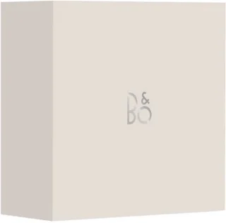Wat vinden we goed aan de Bang & Olufsen BeoSound A1 3rd Gen Luidspreker