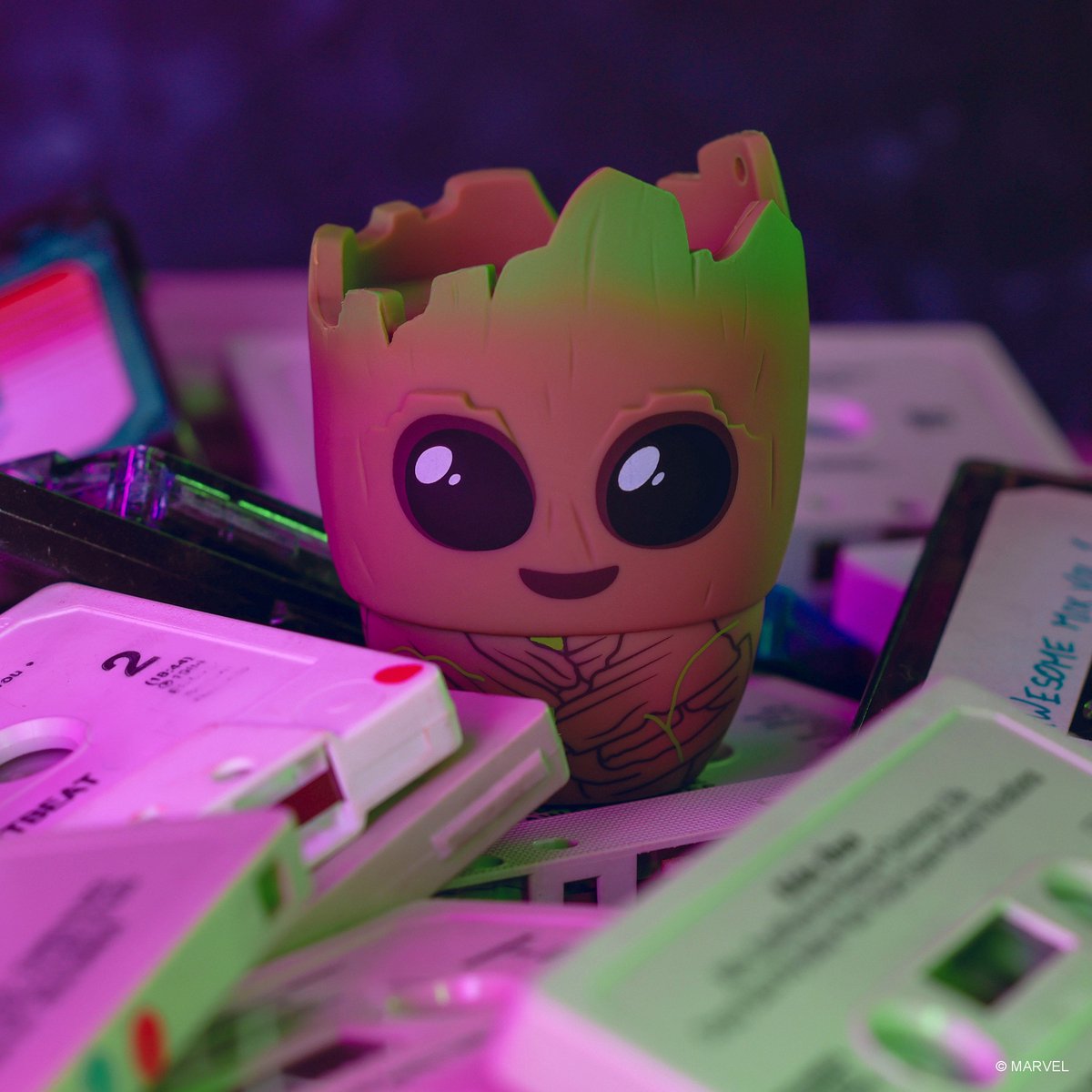 Bitty Boomers Groot Mono Draadloze Luidspreker Meerkleurig