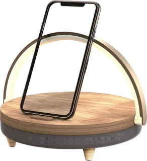 Blaupunkt BLP0420 Draadloze Speaker