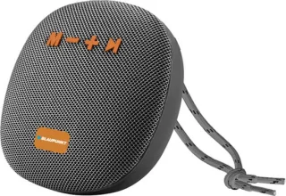 Blaupunkt BLP3120 Original Mono Speaker - Grijs