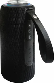 Blaupunkt BLP3230 Draagbare speaker - Zwart