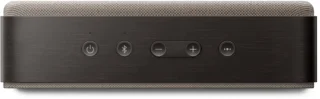 Bose SoundLink Home Speaker Bruin