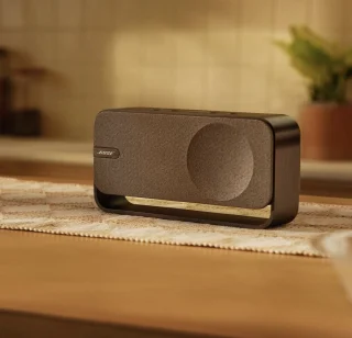 Bose SoundLink Home Speaker Bruin