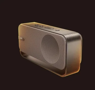 Bose SoundLink Home Speaker Bruin