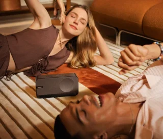 Bose SoundLink Home Speaker Cool Gray