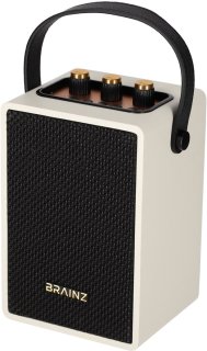 De BRAINZ Retro Speaker in één oogopslag