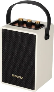 BRAINZ Retro Speaker