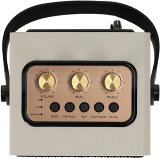 BRAINZ Retro Speaker