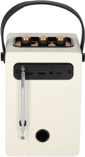 BRAINZ Retro Speaker