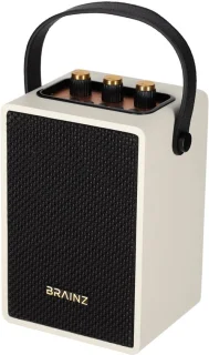 BRAINZ Retro Speaker