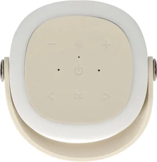 BRAINZ Tower Speaker Taupe