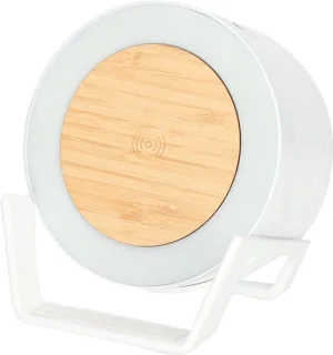 BRAINZ Vic Wheatstraw Speaker