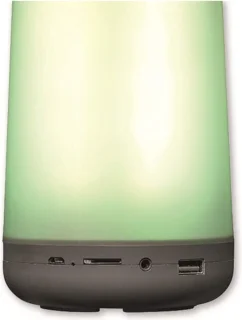 Denver BTL311 Bluetooth Speaker zwart 50W