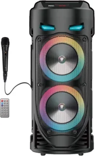 Draagbare Bluetooth Karaoke Speaker