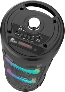 Draagbare Bluetooth Karaoke Speaker