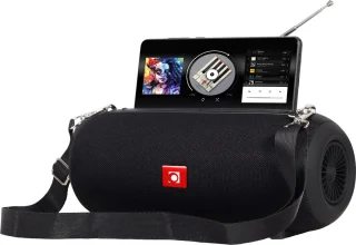 Gembird Draadloze Speaker Bluetooth FM Radio Zwart