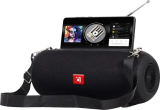 Gembird Draadloze Speaker Bluetooth FM Radio Zwart