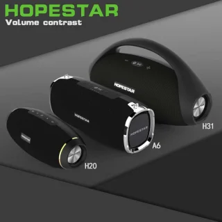 Hopestar H31 Speaker