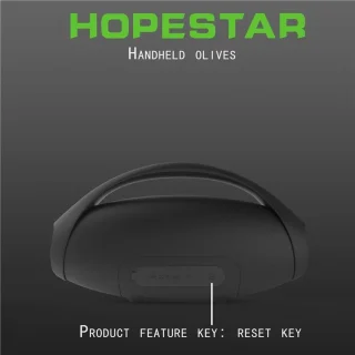 Hopestar H31 Speaker