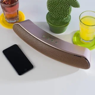 Intempo Curved Bluetooth Speaker Roségoud