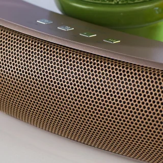 Intempo Curved Bluetooth Speaker Roségoud