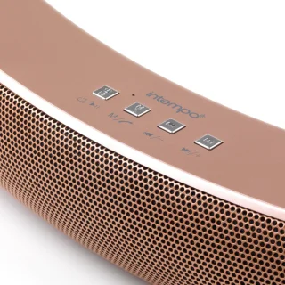 Intempo Curved Bluetooth Speaker Roségoud