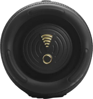 JBL Charge 5 Draadloze Speaker Zwart