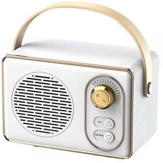 De JeiibrZui Retro Bluetooth-luidspreker - Draagbare speaker in één oogopslag
