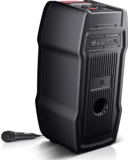 Karaoke Party Speaker Set