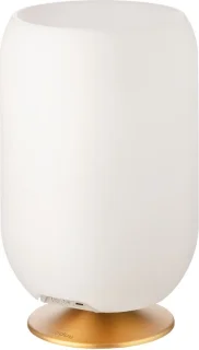 Kooduu Atmos wijnkoeler met bluetooth speaker en ledlamp, bronskleurig, 35 cm