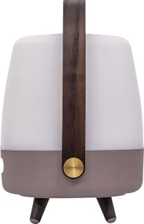 Kooduu Lite-Up Play Mini JBL Earth Bluetooth Tafellamp