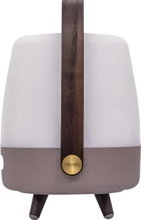 Kooduu Lite-Up Play Mini JBL Earth Bluetooth Tafellamp