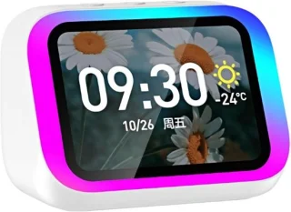 MakkelijkMooi Smart Speaker Wekker