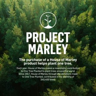 Marley Get Together Duo Boekenplankluidsprekers