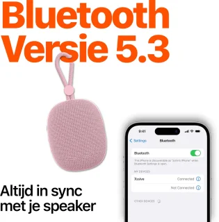 Mini Bluetooth 5.3 Speaker Rose Goud