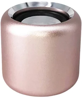 Mini Bluetooth Speaker - Goud