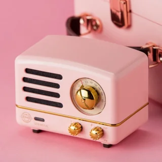 MUZEN OTR Metal Draagbare Bluetooth Speaker Roze