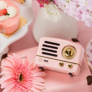 MUZEN OTR Metal Draagbare Bluetooth Speaker Roze