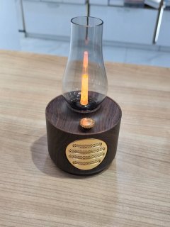 Multifunctioneel nachtlampje met Bluetooth-speaker: praktisch en compact