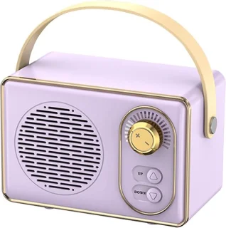 Oneay Retro Bluetooth-speaker Paars
